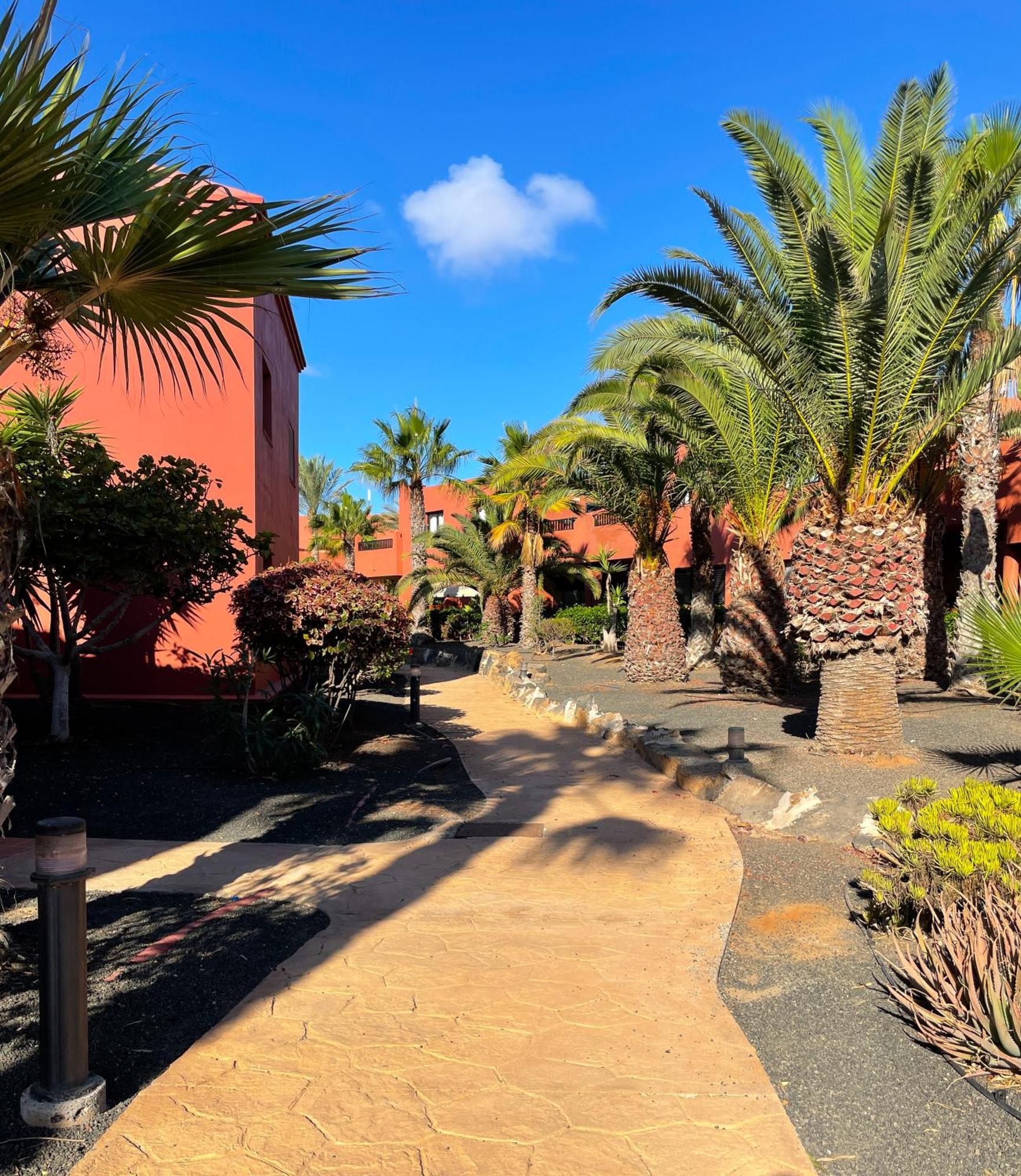 Oasis Tamarindo By Best Holidays Fuerteventura Corralejo Exteriör bild