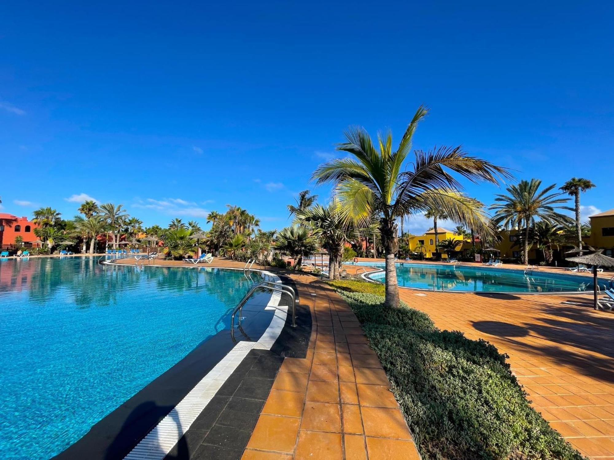 Oasis Tamarindo By Best Holidays Fuerteventura Corralejo Rum bild