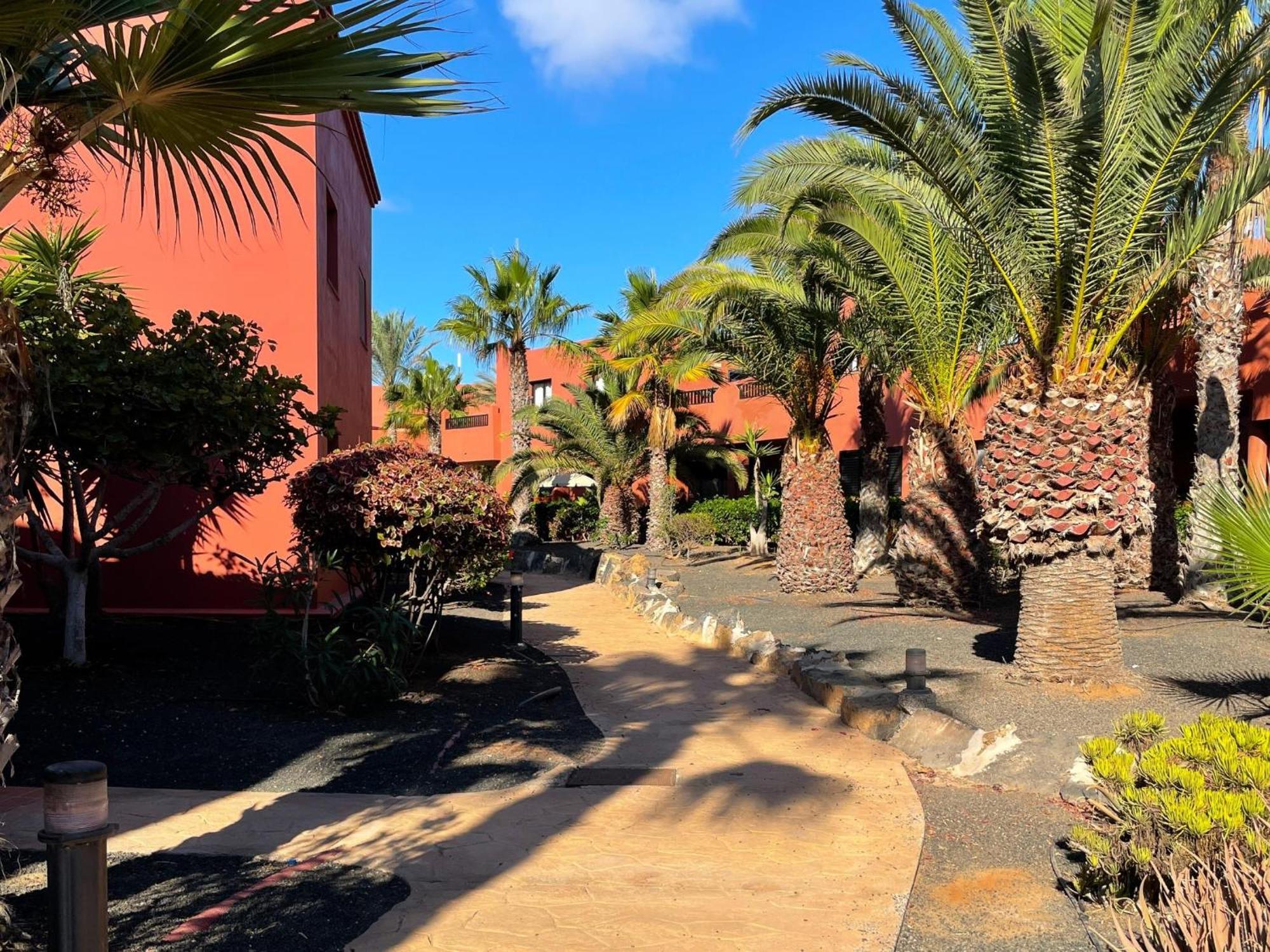 Oasis Tamarindo By Best Holidays Fuerteventura Corralejo Rum bild